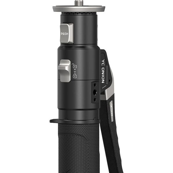 Pineta Pro - Ảnh 2