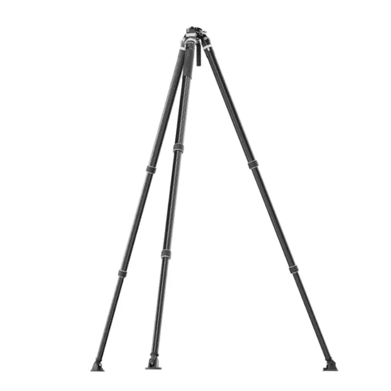 Pineta Lite - Ảnh 3